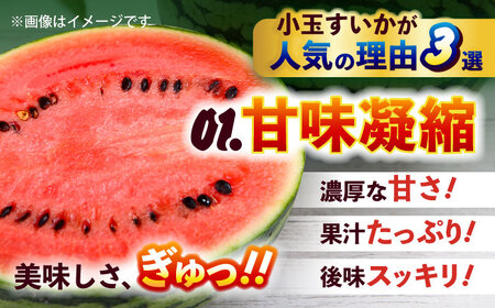 【2026年5月より発送 数量限定】小玉すいか 秀品 2玉 約2kg?3kg スイカ[AYAT008]