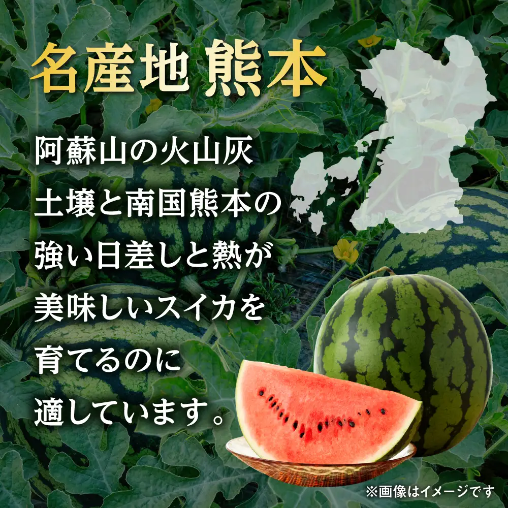 数量限定 大玉スイカ2玉計約16kg 西瓜スイカすいか AYAU002