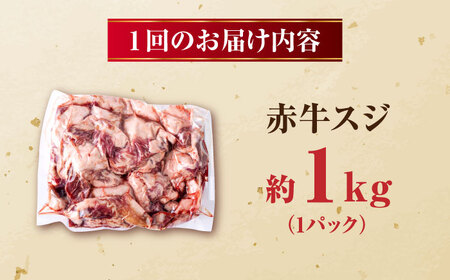 【全3回定期便】 赤牛 スジ 計3kg 1回あたり1kg / 牛スジ 和牛 熊本県産 冷凍[AYBV005]
