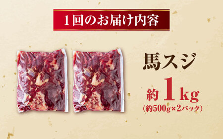 【全12回定期便】 馬スジ 計12kg 1回あたり1kg（500g×2パック） / 馬肉 スジ 筋 煮込み 冷凍[AYBV015]