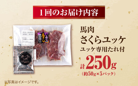 【全12回定期便】馬肉 さくらユッケ 50g×5パック 計250g 馬肉 桜ユッケ 赤身 [AYBV018]