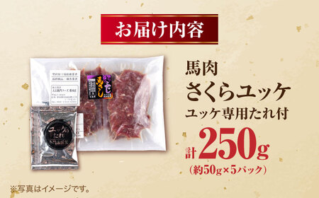 馬肉 さくらユッケ 50g×5パック 計250g 馬肉 桜ユッケ 赤身 小分け 冷凍[AYBV027]