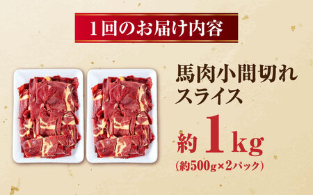 【全6回定期便】 馬肉 小間スライス 計6kg 1回あたり1kg（500g×2パック） / 馬肉 小間切れ しぐれ煮 味噌煮 野菜炒め 冷凍[AYBV035]