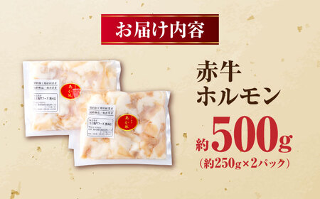 赤牛 ホルモン 500g（250g×2パック） ホルモン 牛肉   [AYBV040]