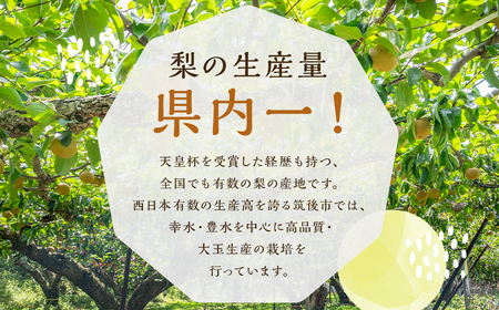  豊水梨 約3kg 5～8玉【2026年8月下旬から9月下旬発送予定】 ナシ 梨 果物 フルーツ 福岡県産