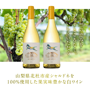 淡路結 シャルドネ 2023 2本セット  ワイン 白ワイン 淡路結 シャルドネ 2023 750ml 2本 白 国産ワイン 山梨県産 北杜市産 白州圃場 柑橘フルーツ アカシア 蜂蜜 ブドウ 記念日 贈り物 プレゼント [h135]