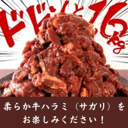 秘伝たれ漬け 訳あり 柔らか牛ハラミ(サガリ)肉 味付け合計1.6kg 便利な小分け5パック_肉 焼肉 牛肉 やきにく ヤキニク バーベキュー_【配送不可地域：離島】【1600579】