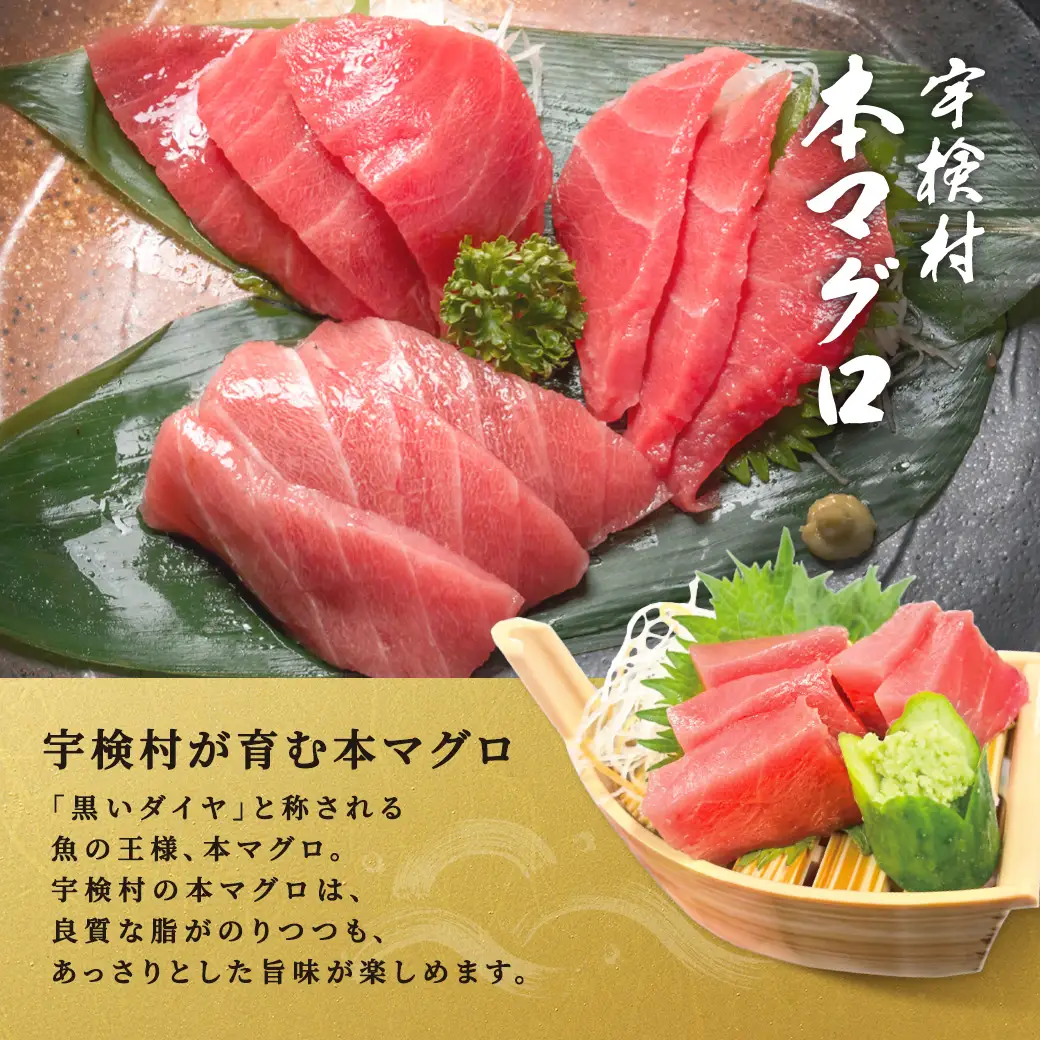 【 宇検村産 】 本マグロ 【1本 約 55 ~ 60 kg】一匹 冷蔵 マグロ まぐろ 鮪 本鮪 本マグロ 養殖 内臓抜き 尾なし 姿 トロ 中トロ 中とろ 大トロ 大とろ 赤身 中落とし 刺身 カマ ほぼ まるごと 海鮮 お祝い パーティー 贈答 豪華 100万 百万