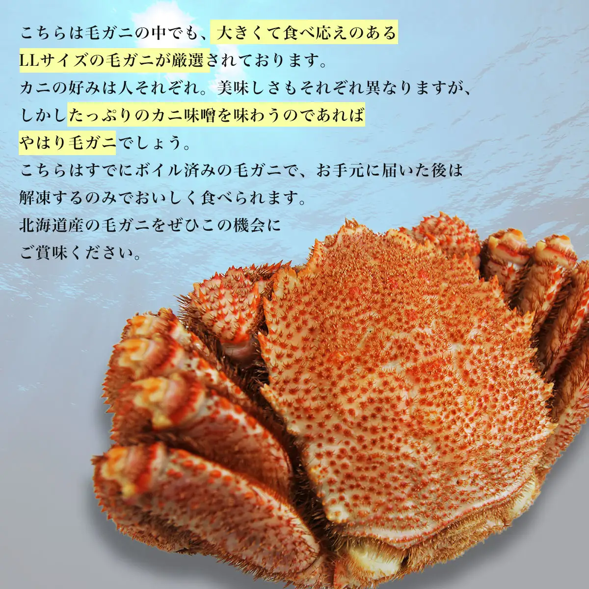 北海道産 ずっしり！大ぶり 冷凍ボイル毛ガニ 800g前後 SRMN024
