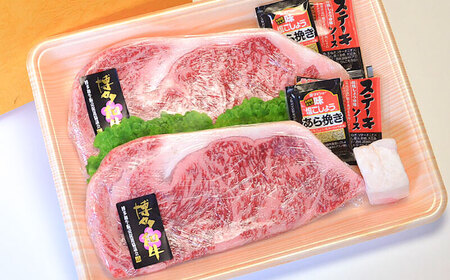 【A4~A5】博多和牛 ロースステーキ200g×2枚(合計400g) ソース・塩胡椒付[BGAC001] ロースステーキ