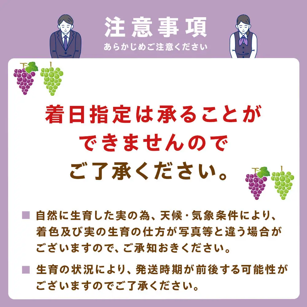 【先行予約】2026　ナガノパープル　【訳あり粒抜け等】　房複数　約1kg弱　長野県産  【10月初旬頃～順次発送予定】国際特許有機肥料栽培