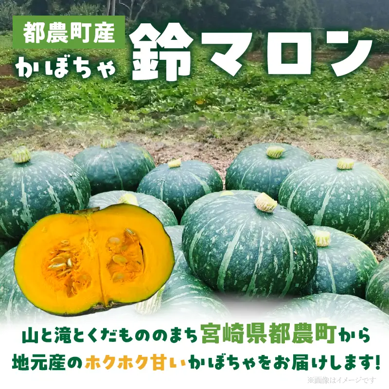 先行予約≪期間限定≫都農町産かぼちゃ 「鈴マロン」計5kg カボチャ 野菜 旬 サラダ 国産_T015-0075