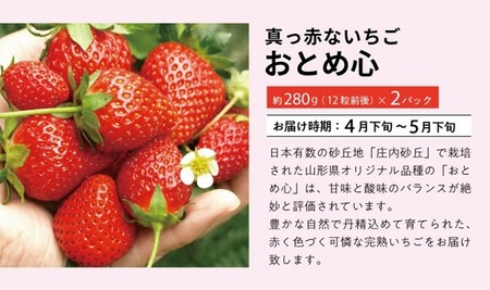 SE0504　【3回定期便】自然の恵み　春・夏フルーツ定期便2026(いちご、青肉メロン、小玉スイカ)