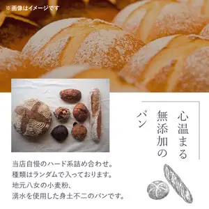 パンの詰め合わせ 3回定期便 【10個入】  ～Olivier Rain(オリビエレイン)～ ハードパン セット 詰め合わせ 国産 こだわり お取り寄せ 湧水 身土不二 天然酵母 冷凍 八女 191-T001