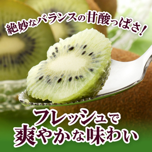 〈2026年度配送分〉山梨県産キウイ(ヘイワード) 約3.5kg 20～27玉入り