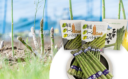 【2026年春発送】数量限定 グリーン アスパラガス 約1kg 北海道 富良野 新鮮 野菜