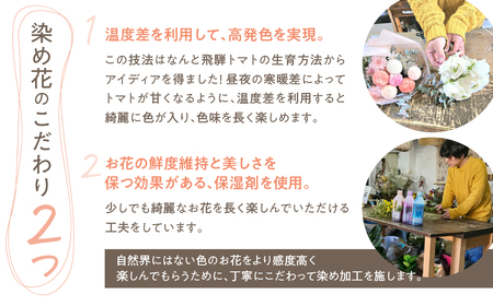 【定期便】 花束 毎月届く ピンポンマム 花束[Q2835]