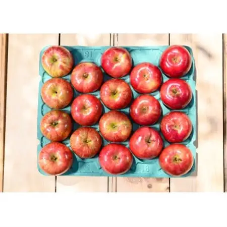 【2026年9月発送予定】平均糖度12度以上! 葉とらずサンつがる 約5kg おもてなし用_果物・フルーツ りんご  リンゴ 林檎_【配送不可地域：離島・沖縄県】【1607042】