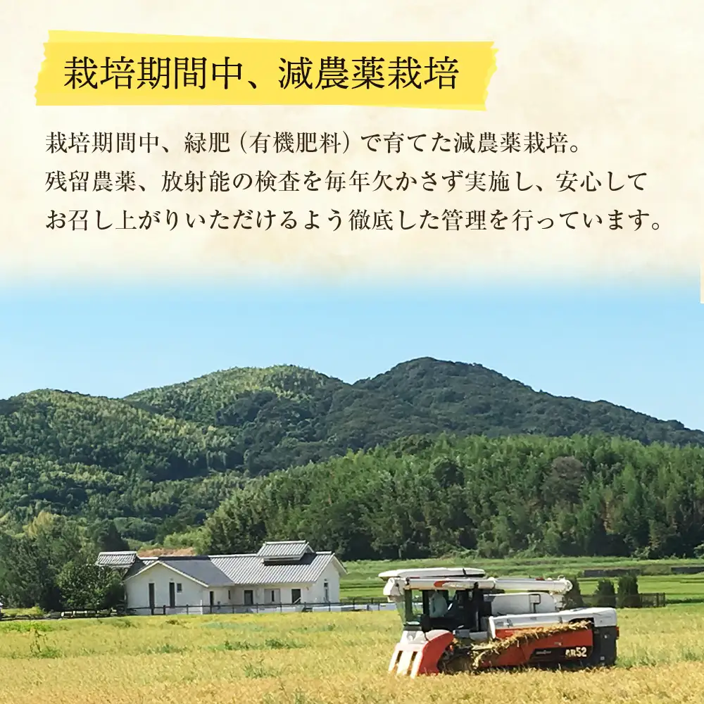 野添農園のキヌヒカリ 5kg 白米
