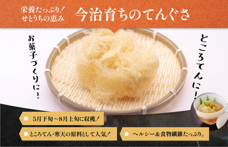 今治産しまなみ天草 3袋セット [V002590SET3]