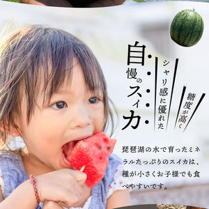よってこ小玉すいか2玉 　先行予約 ピノガール よってこファーム フルーツ デザート 果物  DG-0004
