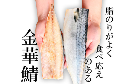 サバ 5枚 金華さば 半身 無塩