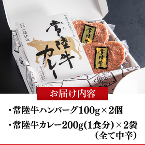 常陸牛ハートハンバーグ100g×2個 常陸牛カレー2個 詰め合わせセット 肉のイイジマ（DU-130）