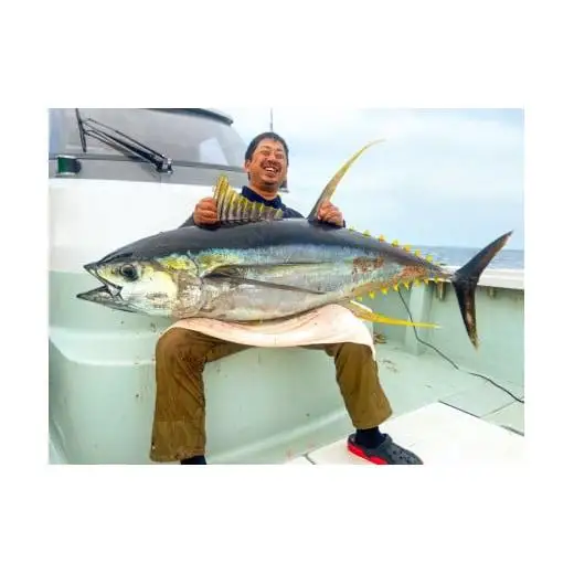 【 釣り船 】 釣り船貸し切り