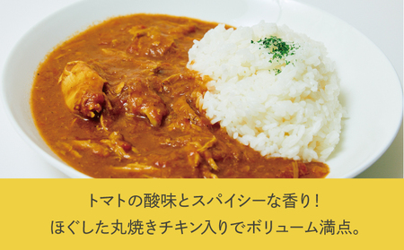 沖縄県産若鶏使用 オリジナルチキンカレー (1袋 約260g) 4袋セット | とりの丸焼こけこっこハウス | トマトベース オリジナル スパイス お肉たっぷり にんにくたっぷり 辛さ控え目 ヘルシー | 沖縄県 宜野湾市 | 冷凍 送料無料