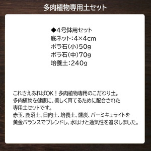E102 培養土　【植え替え土セット】　多肉植物の土