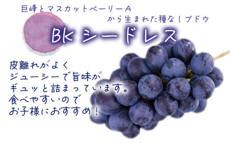 【2026年先行予約】ぶどう 岡山 花笑み農園の『BKシードレス』贈答用2kg（3～4房） 岡山 真庭 フルーツ 【hana038-02】