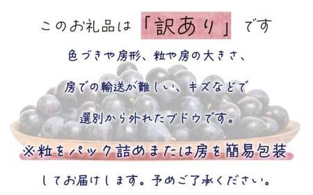 【2026年先行予約】岡山 花笑み農園の訳あり『BKシードレス』1kg 【hana062-02】