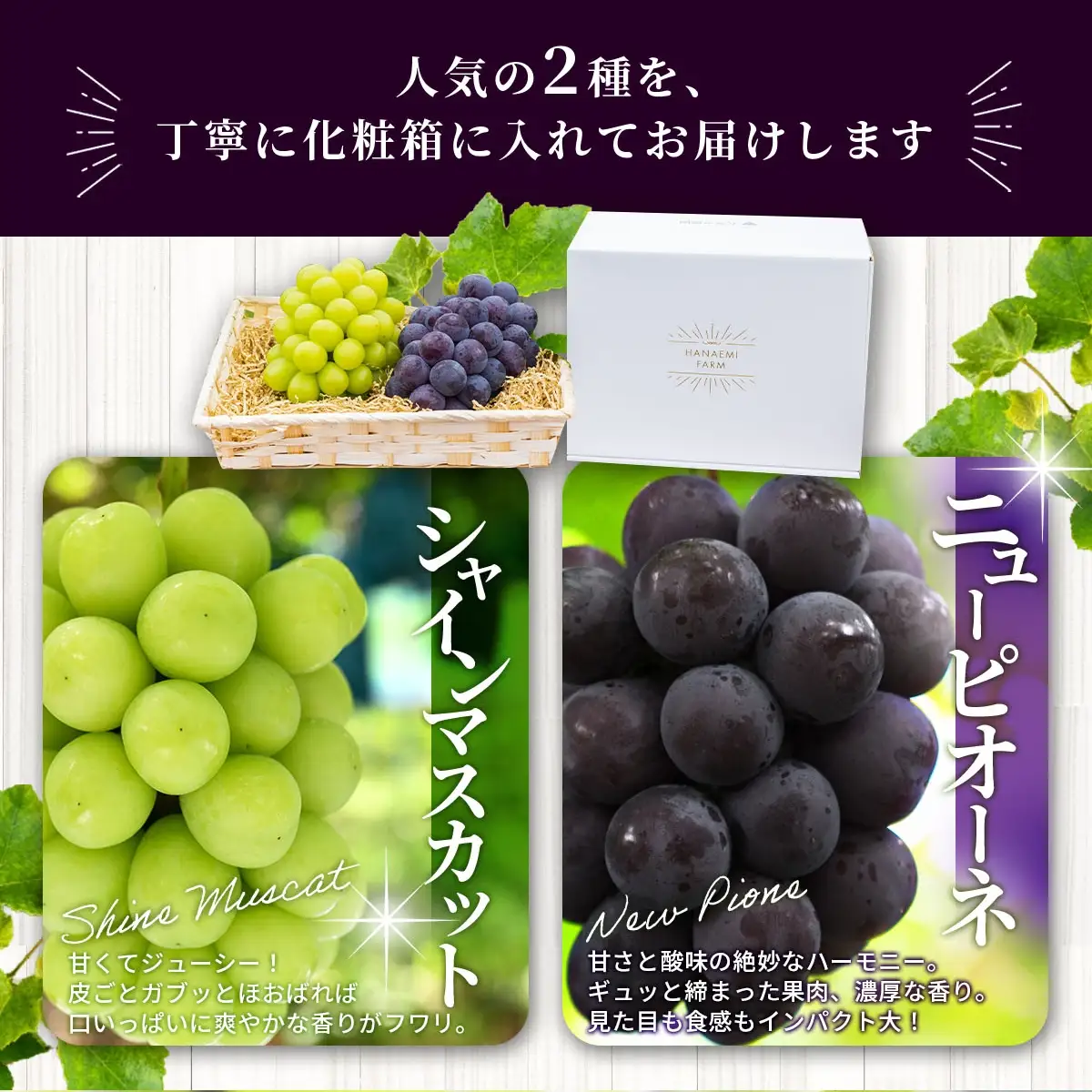 シャインマスカット ニューピオーネ 食べ比べ 1kg～1.5kg 花笑み農園 ピオーネ 【hana007-03】