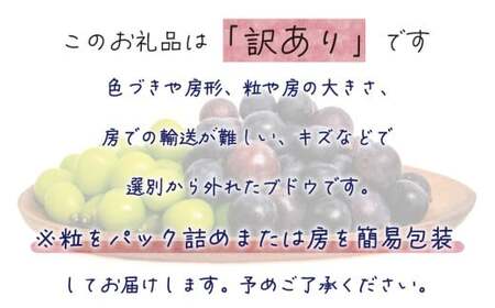 【2026年先行予約】 訳あり 花笑み農園の ぶどうおまかせ2種 （計1kg分お届け！） 岡山 【hana049-02】
