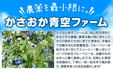 訳あり 数量限定 ブルーベリー 1kg ブルーベリー