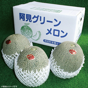 【先行予約】メロン 4L～5L 2～3玉 約5.5kg ｜阿見グリーンメロン 茨城県 化粧箱入り 贈答 自分用 数量 限定 希少 品種（04-29）