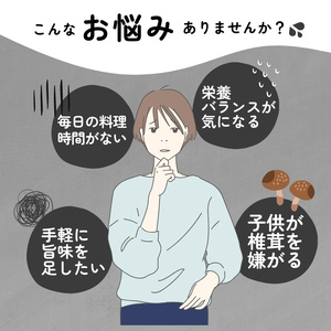 しいたけ粉 2袋 140g 椎茸30個分 お肌ツルツル 香信 こうしん 干し椎茸 しいたけ 椎茸 パウダー ダイエット 健康 手軽 かけるだけ ビタミン 鉄分 大船渡市