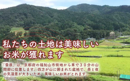 令和7年産 雲原のむすび米 コシヒカリ (5kg×2袋・計10kg) ふるさと納税 福知山市 こしひかり コシヒカリ 米 お米 コメ 白米 おむすび おにぎり 精米 【fc-EP002】【京都、雲福・結農園】