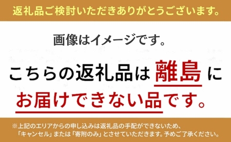 【ふるさと納税】どらやき（10個入り） どらやき　電車　鉄道　鉄オタ　鉄女　鉄道ファン　ことでん　琴平　琴平鉄道　あんこ　あずき　ご当地どらやき ギフト スイーツ デザート おかし お菓子 詰め合わせ 詰合せ セット 冷凍 香川 さぬき 讃岐