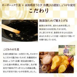 四万十うなぎ生姜6瓶セット ご飯のお供 鰻 ショウガ しょうが 肴 おかず 四万十鰻 瓶詰 おすすめ 人気 国産 厳選 ／Ess-15