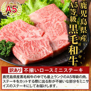 K-479-B ＜訳あり＞鹿児島県産A5等級黒毛和牛不揃いロースミニステーキ(計480g) 【ふるさと産直バザール】霧島市 牛肉 国産 鹿児島県産 赤身肉 不揃い ワケアリ ロース ステーキ 肉 精肉
