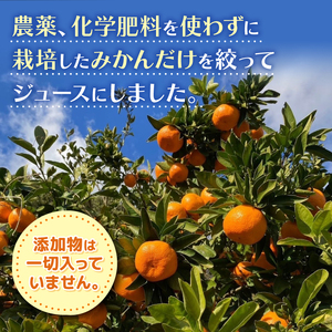 果汁100％ みかん ジュース 1000ml × 6本 無農薬 無添加 濃厚 みかん ジュース 炭酸 清涼飲料水 炭酸ジュース ジュース