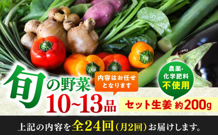 【24回定期便・月2回配送】 土佐の太陽をいっぱいに浴びた旬の野菜10~13品目と生姜約100gのセット / 高知 土佐 旬 野菜 生姜 詰め合わせ セット 仕送り 【土佐野菜】[ATBA017]