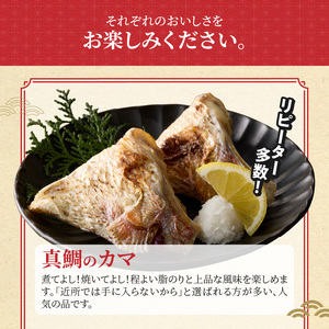 S106-041_選べる真鯛の晩酌セット（真鯛のカマ・刺身用サク・醤油漬け）