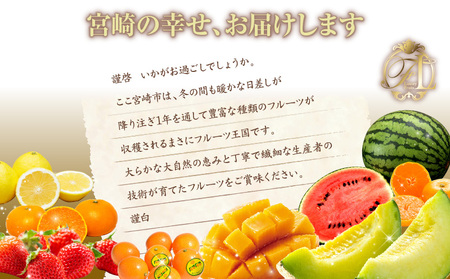 【数量限定】旬のくだもの定期便【全8回】 きんかん たまたま いちご 苺 イチゴ せとか マンゴー スイカ メロン 温州みかん 日向夏 完熟 フルーツ 果物 定期便