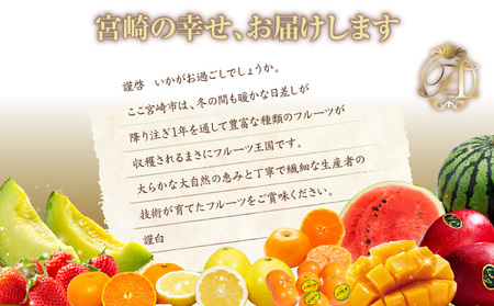 【数量限定】旬のくだもの【極】定期便【全9回】 きんかん たまたま いちご 苺 イチゴ せとか マンゴー 太陽のタマゴ スイカ メロン 温州みかん  日向夏 完熟 種なしフルーツ 果物 定期便