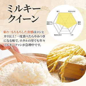 【精米したて！】 令和8年産 新潟県上越市産 ミルキークイーン 定期便 5kg×6回 30kg 新米 先行予約 蛍の里