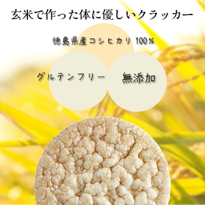 玄米 クラッカー プレーン味 1袋（6枚入り）容量選べる グルテンフリー 無添加 国産 米 煎餅
