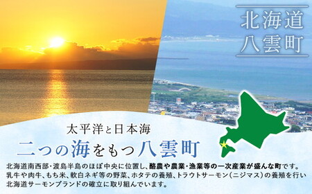 北海道八雲町　宿泊割引券3,000円分 | ホテル チケット 観光 宿泊