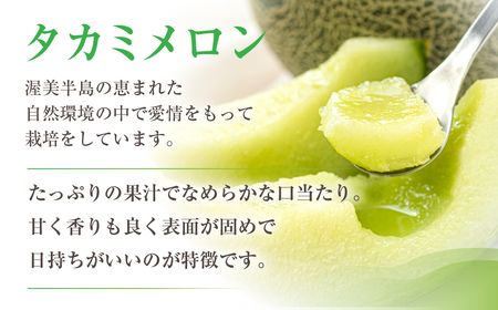 【先行予約】青木さんちのタカミメロン 4玉～5玉 メロン